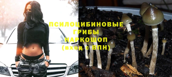 бутират Лагань